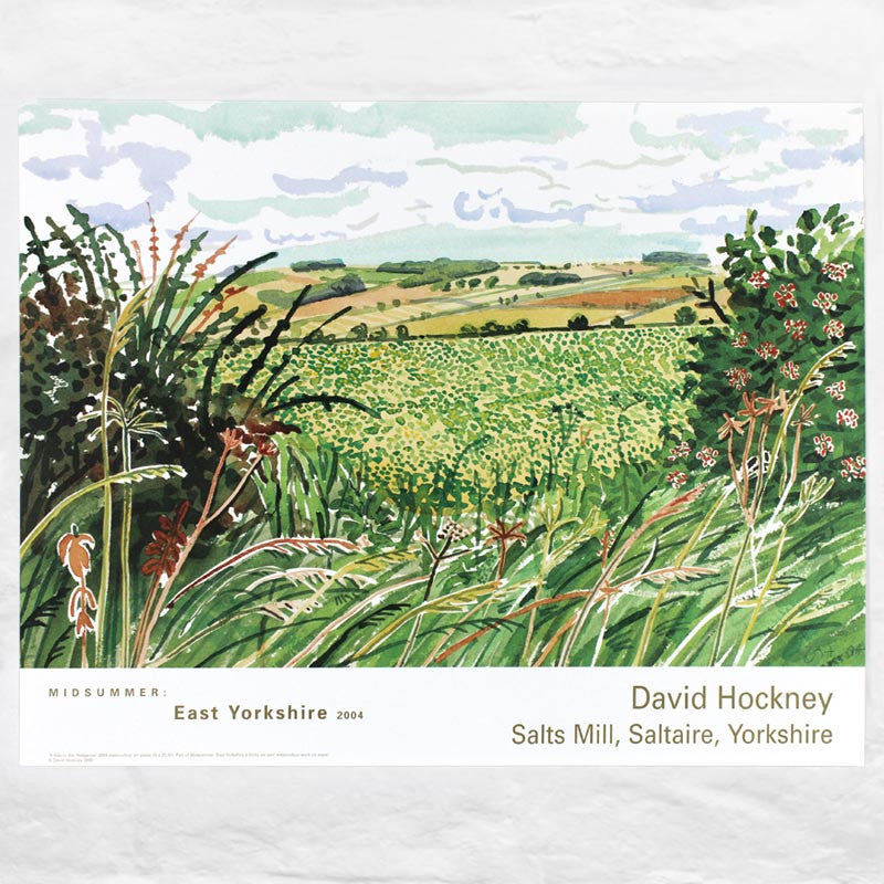DAVID HOCKNEY / A Gap in the Hedgerow (from Midsummer: East Yorkshire)