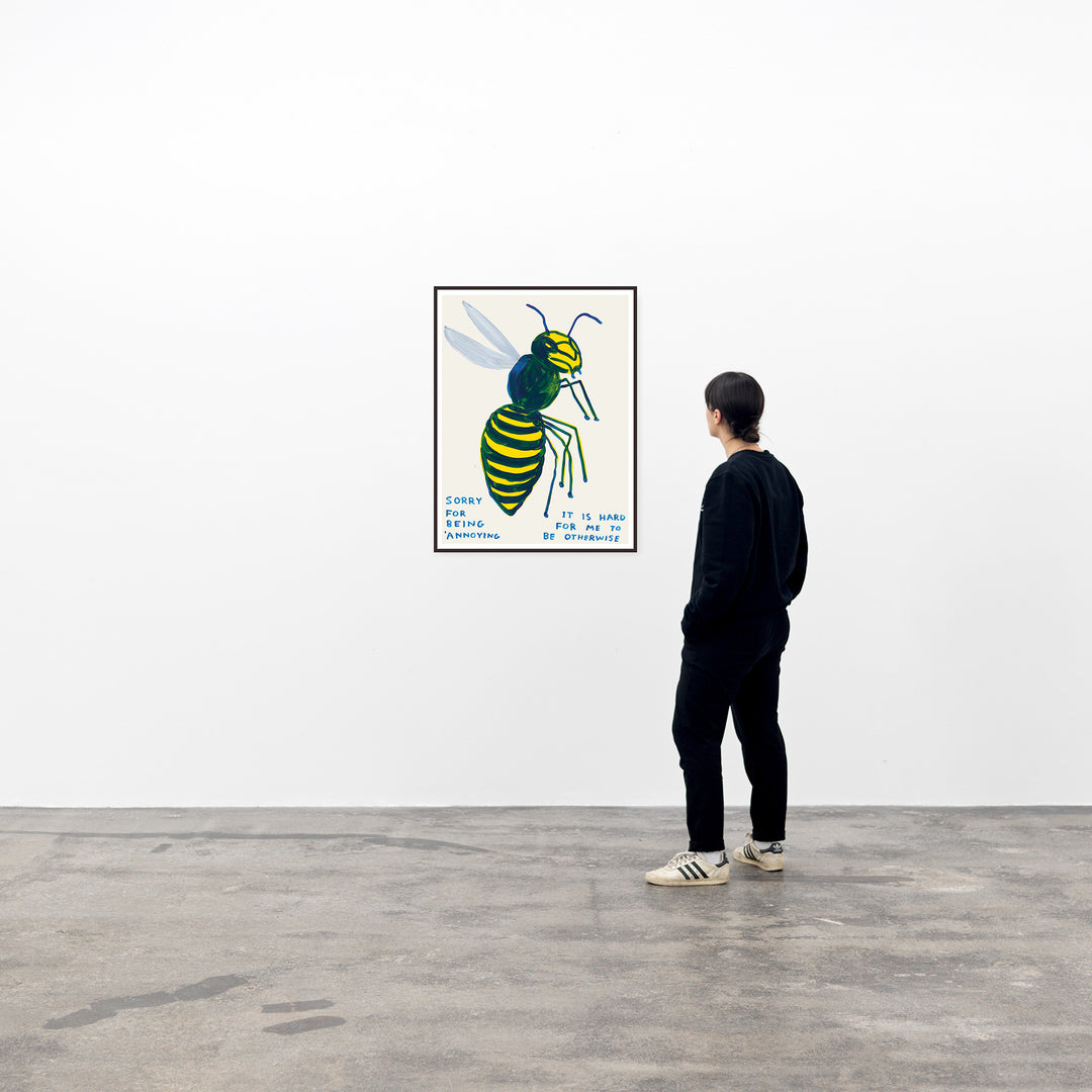 David Shrigley / Sorry for being annoying