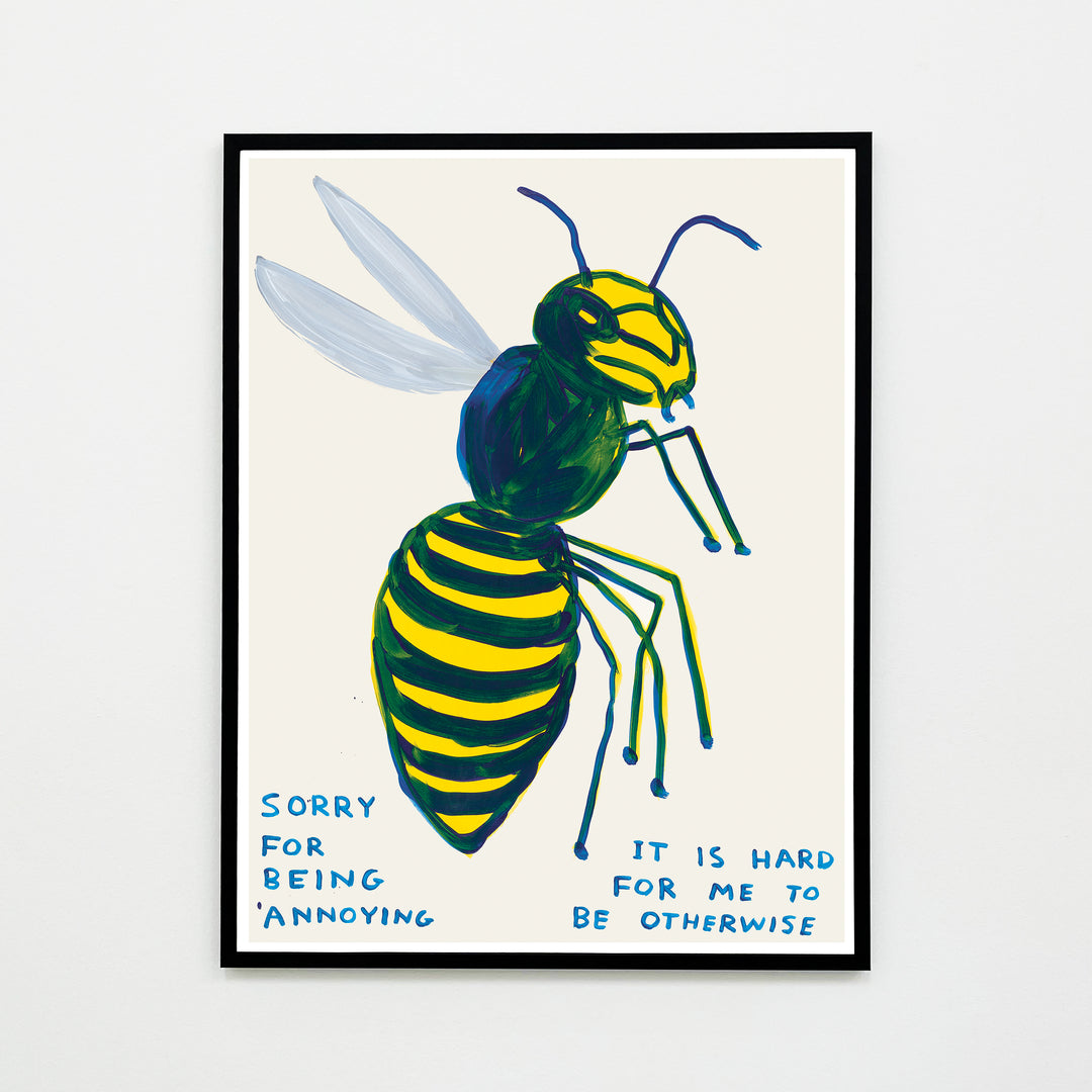 David Shrigley / Sorry for being annoying