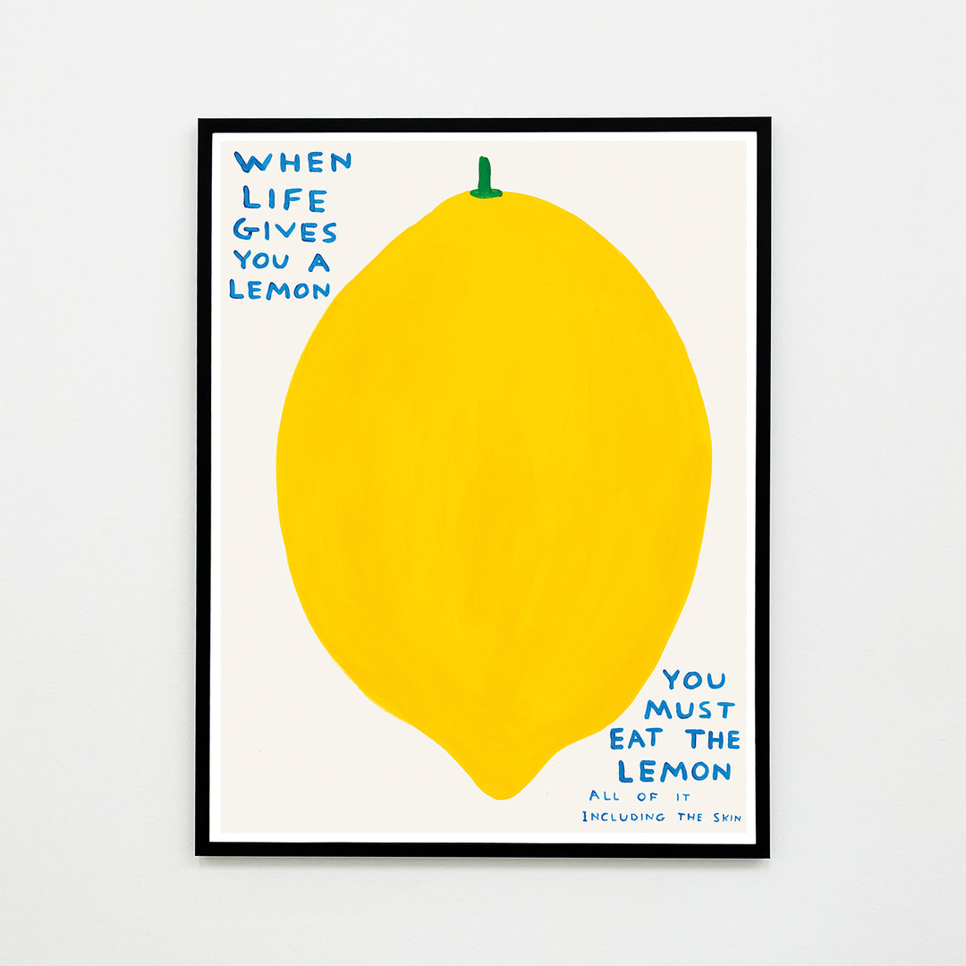 David Shrigley / When life gives you a lemon