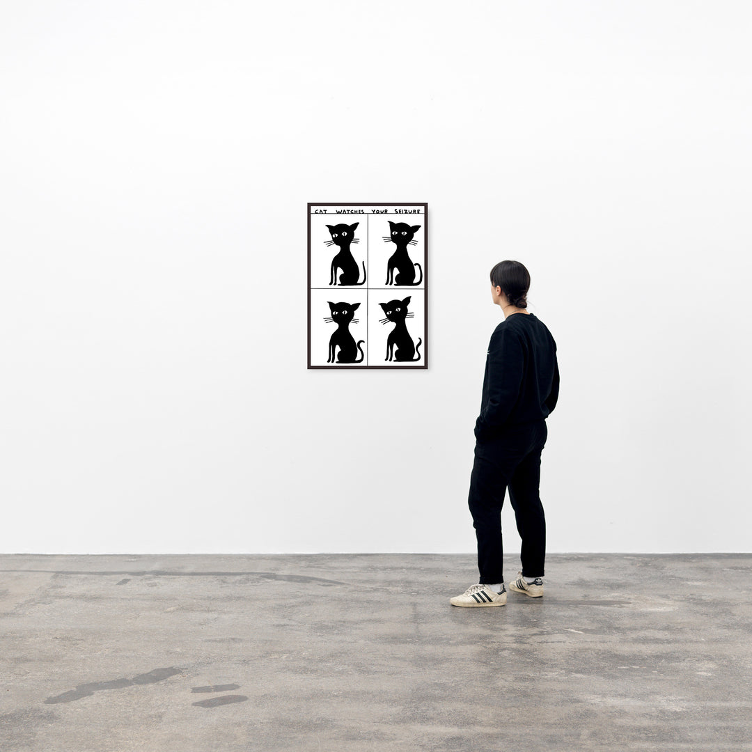 David Shrigley / Cat watches your seizure