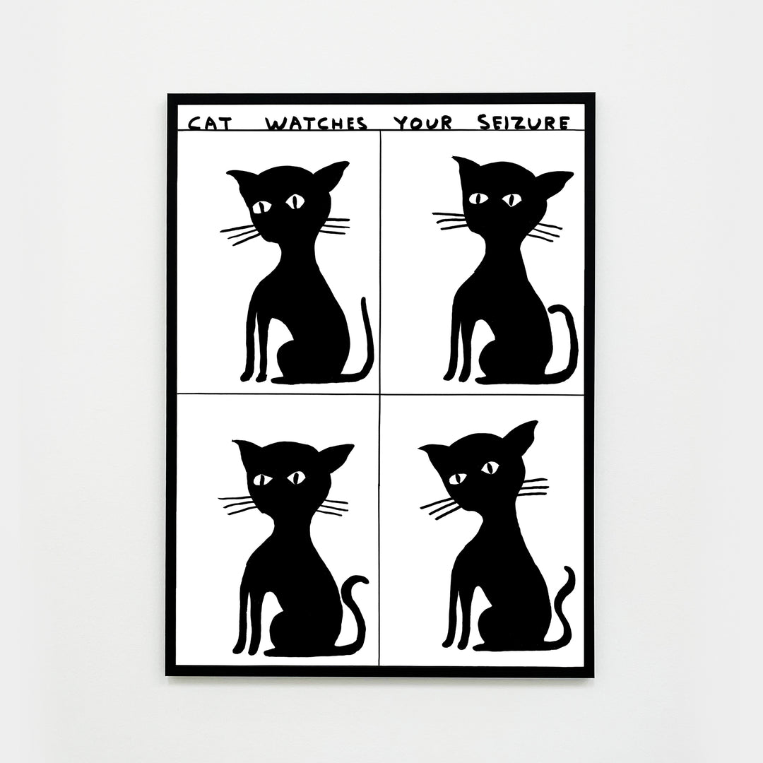 David Shrigley / Cat watches your seizure