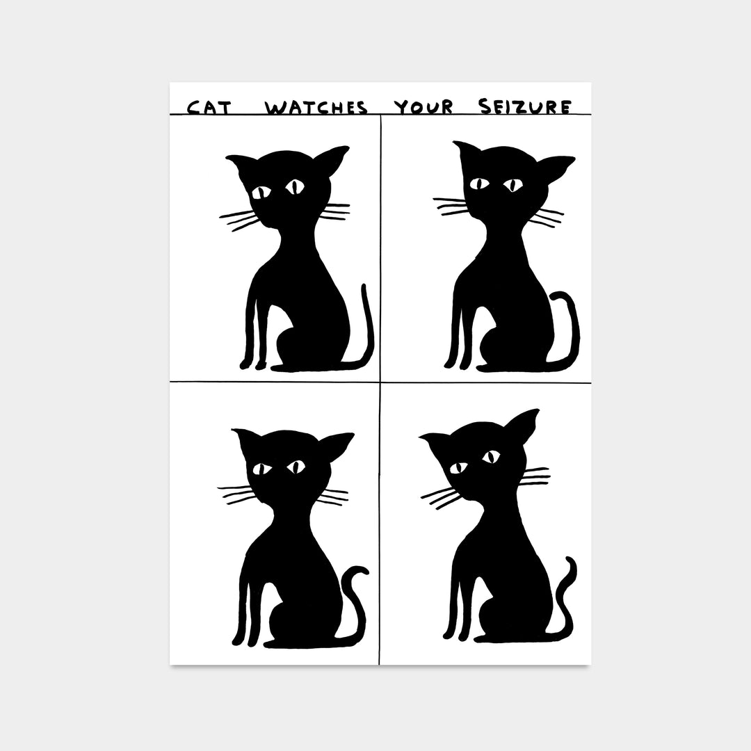 David Shrigley / Cat watches your seizure