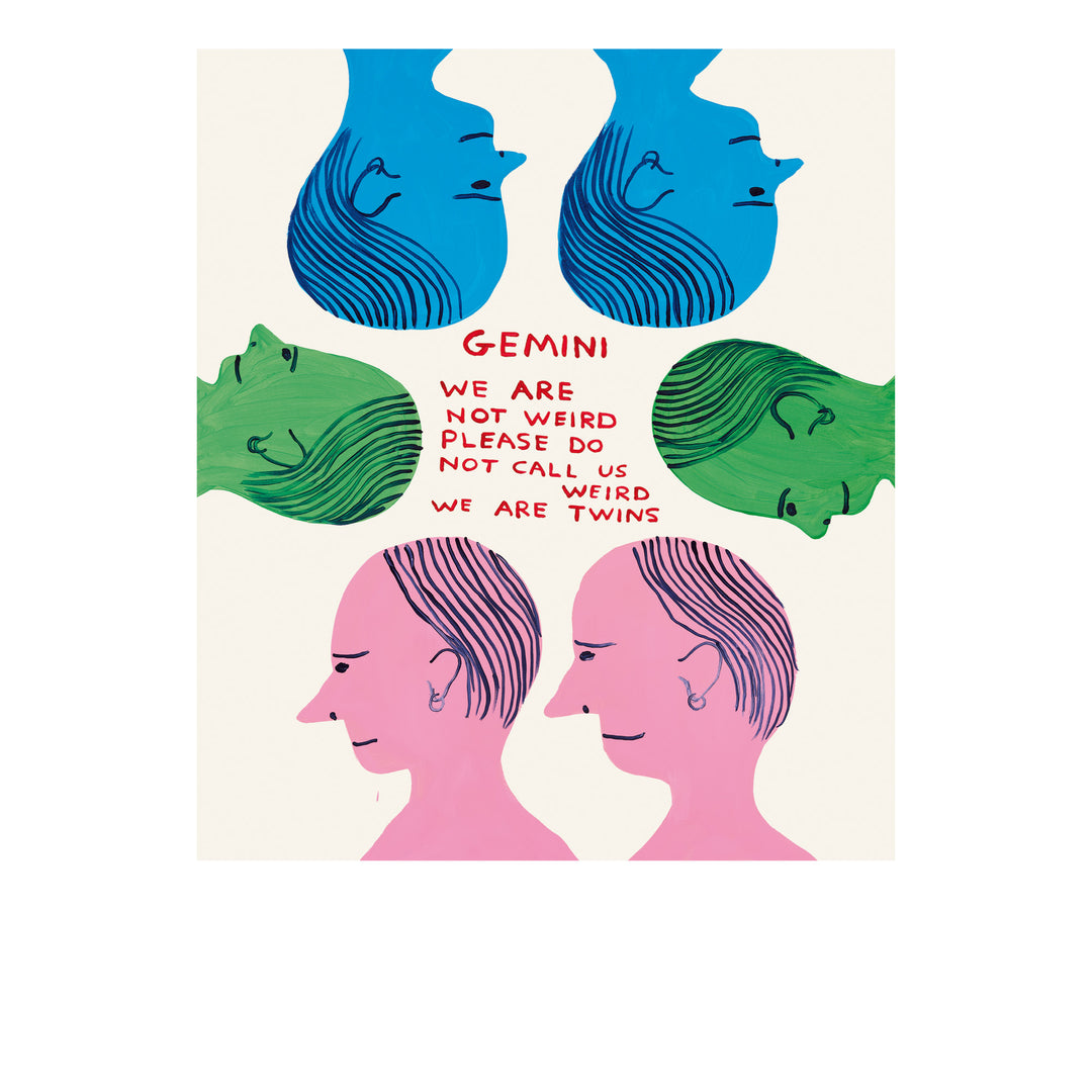 David Shrigley / Signs of the zodiac