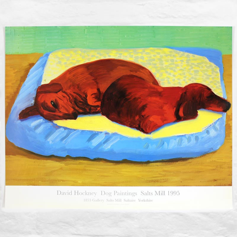 DAVID HOCKNEY / Dog 43