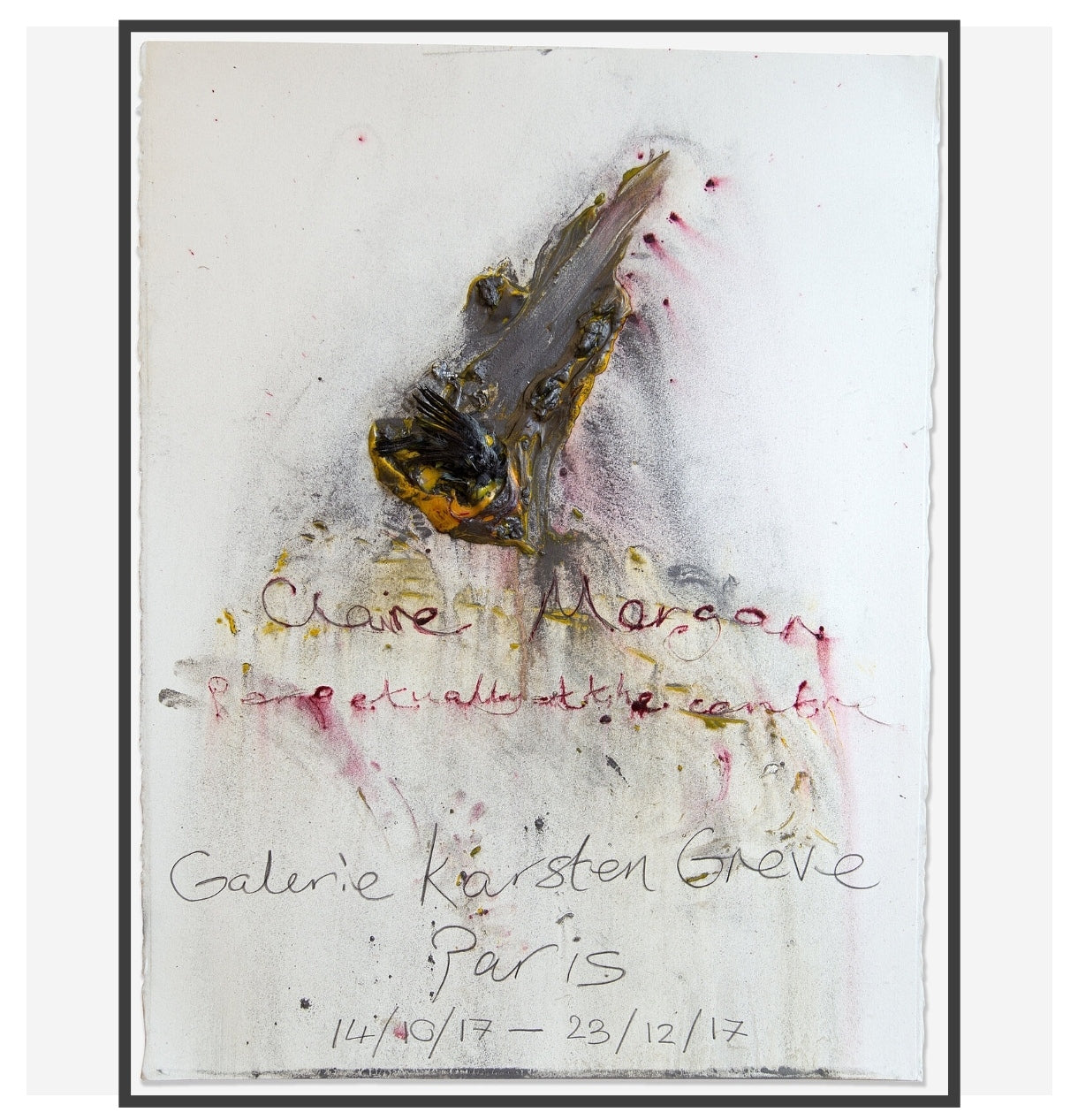 Claire Morgan / Perpetually at the Centre Galerie Karsten Greve, Paris 2017