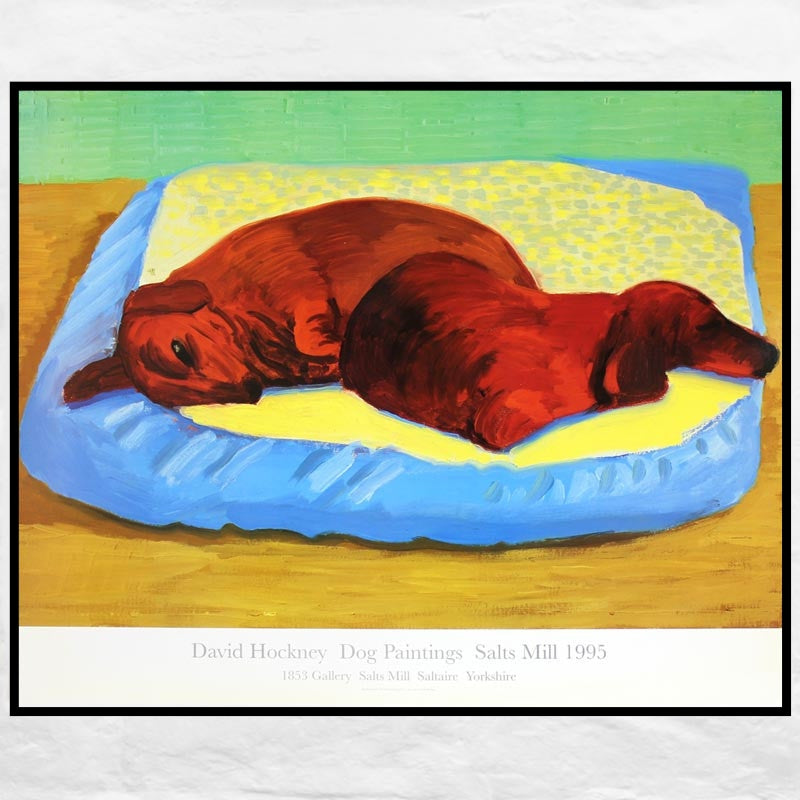 DAVID HOCKNEY / Dog 43
