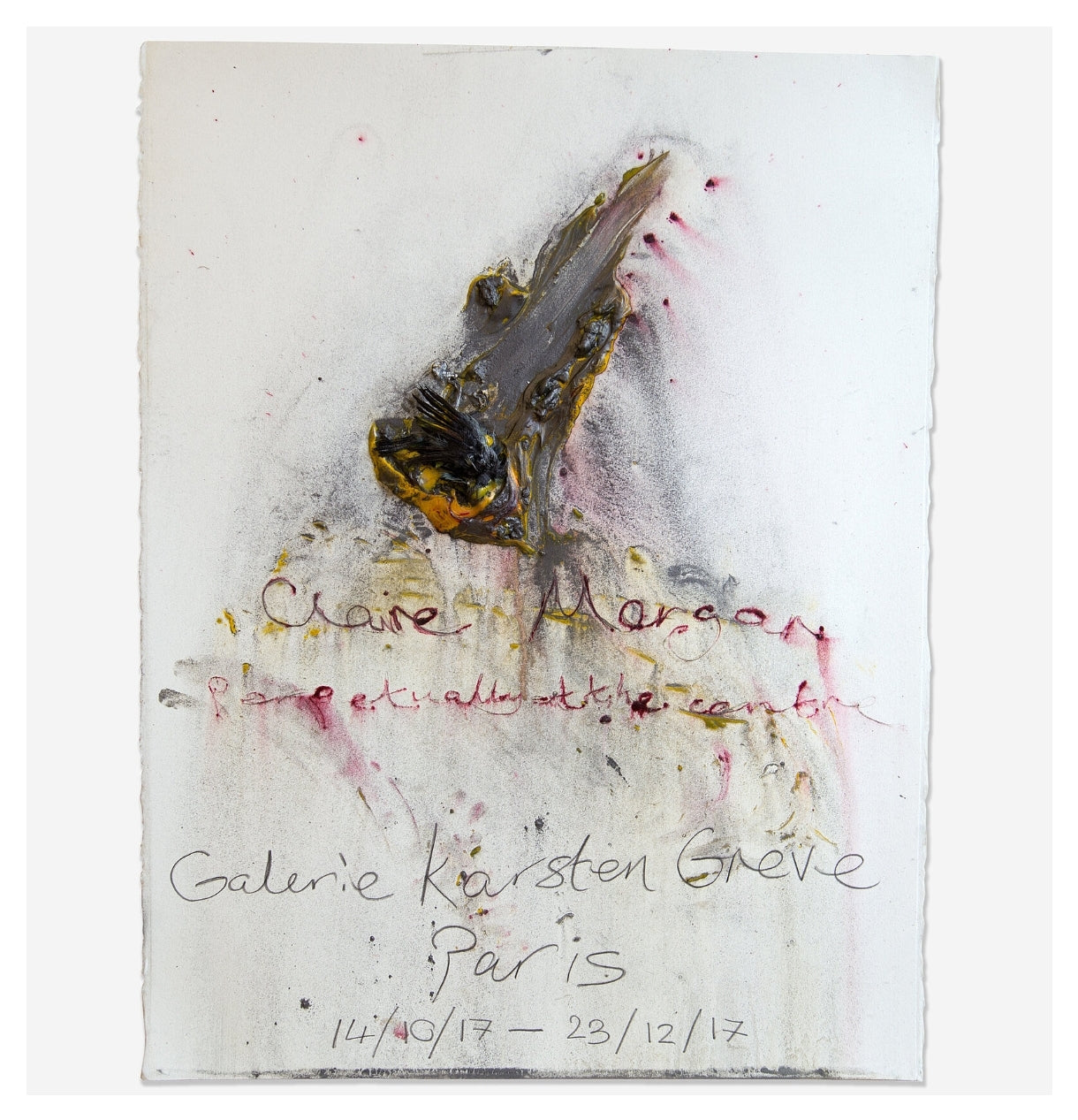 Claire Morgan / Perpetually at the Centre Galerie Karsten Greve, Paris 2017