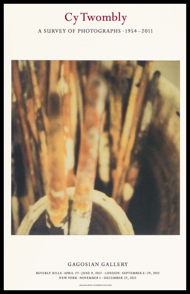 CY TWOMBLY / A SURVEY OF PHOTOGRAPHS, 1954–2011
