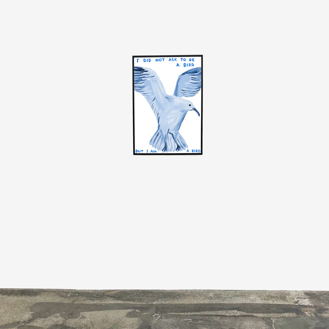 David Shrigley / I did not ask to be a bird