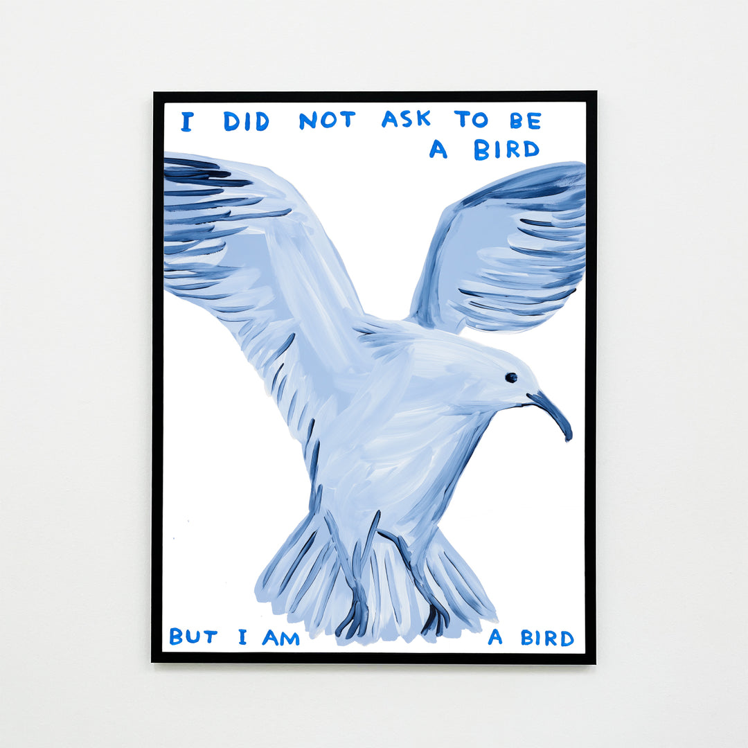 David Shrigley / I did not ask to be a bird