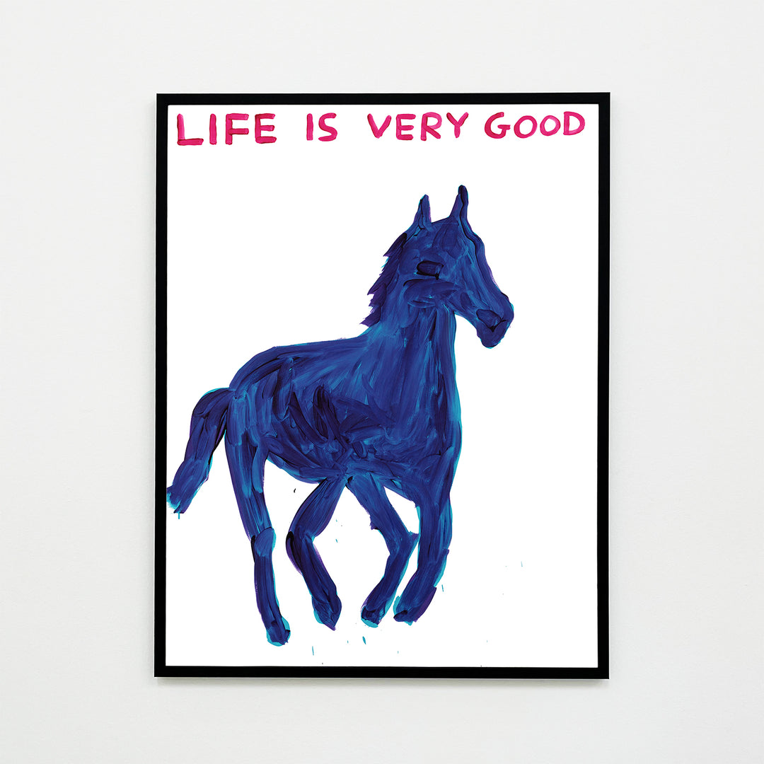 David Shrigley / Life is very good