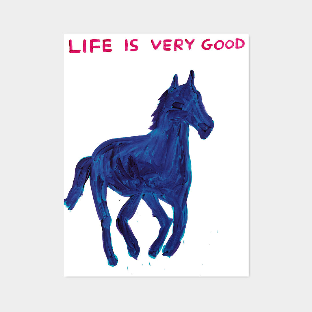 David Shrigley / Life is very good