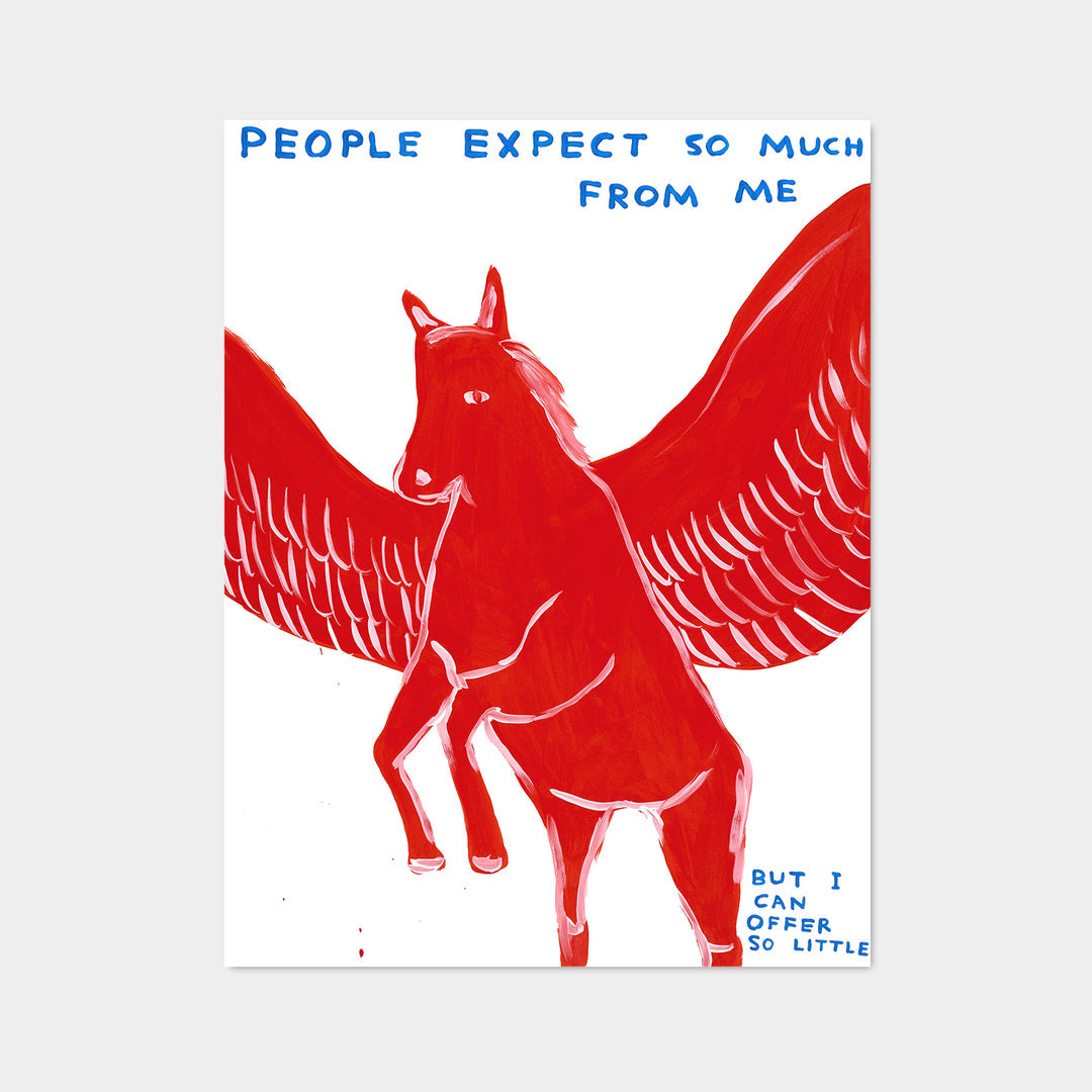 David Shrigley / People expect so much from me – Poster Shop Fubar