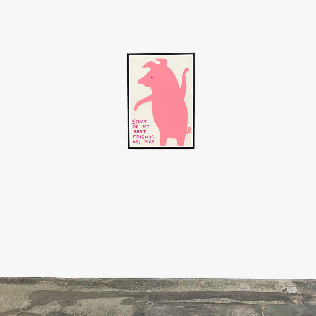 David Shrigley / Some of my best friends are pigs