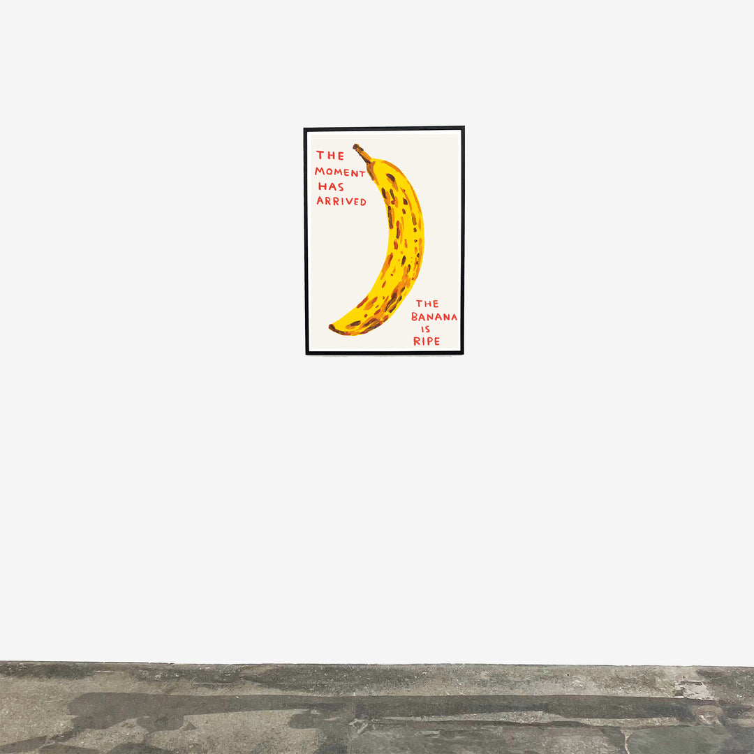 David Shrigley / The moment has arrived
