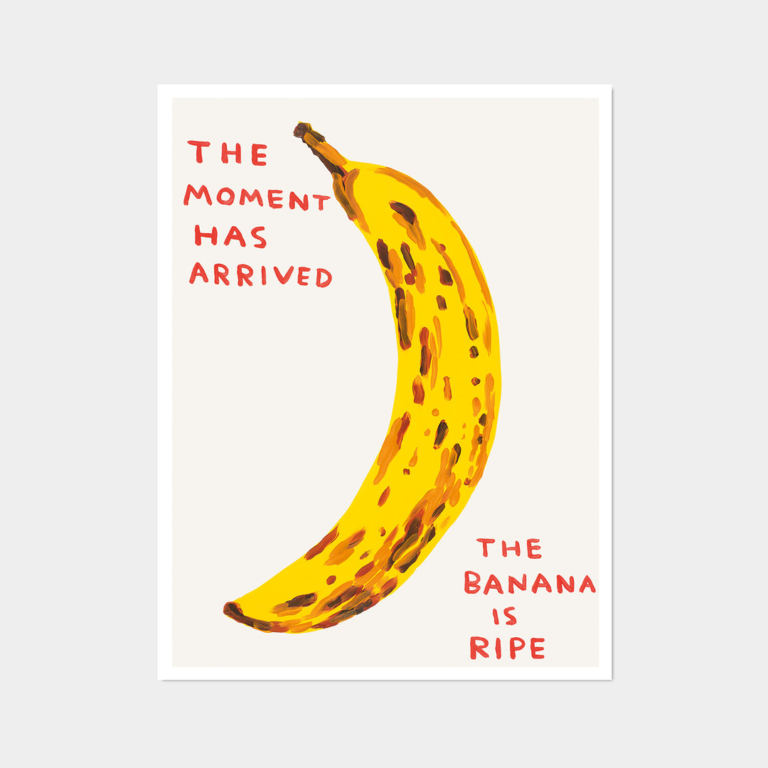 David Shrigley / The moment has arrived