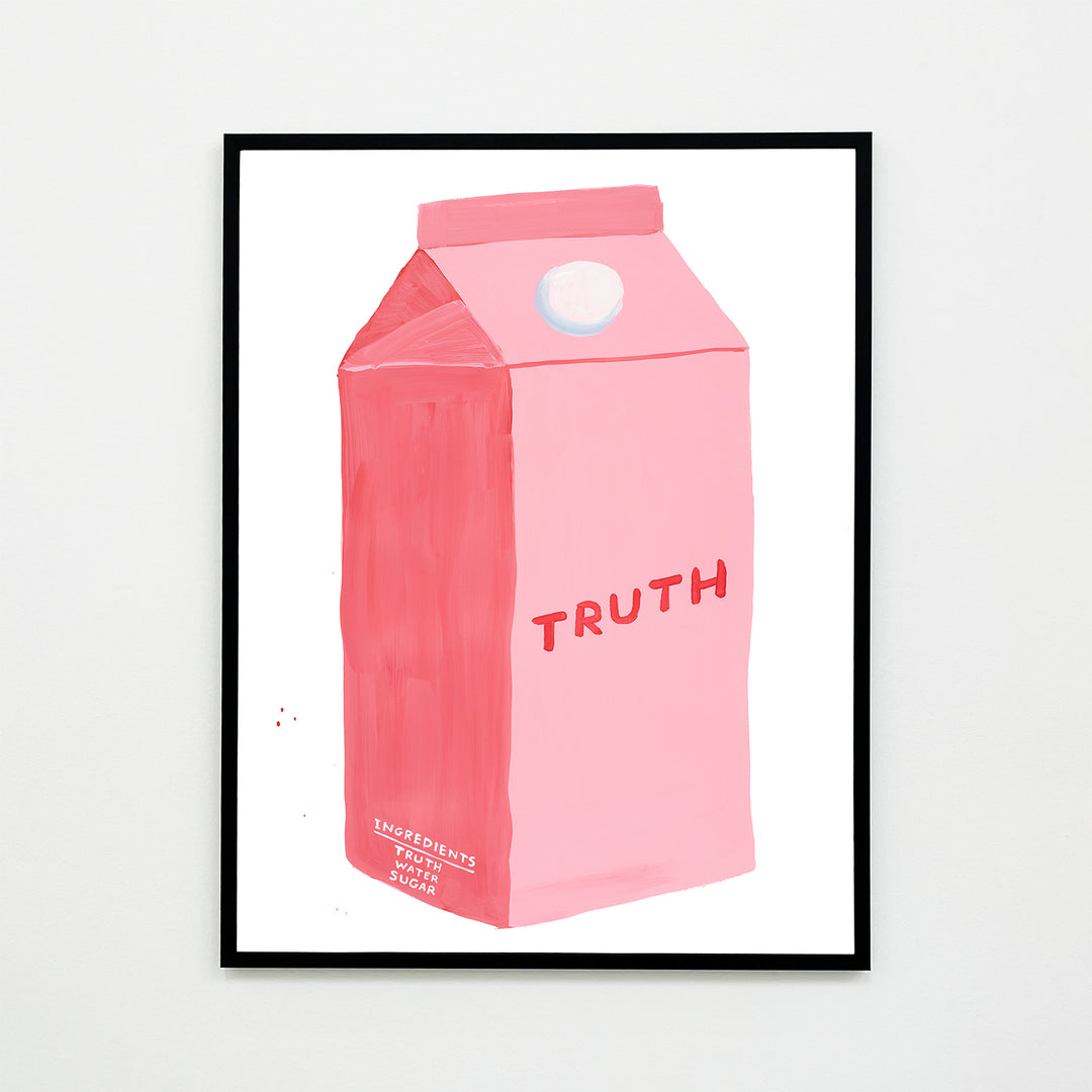 David Shrigley / Truth