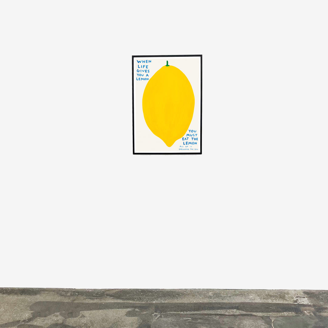 David Shrigley / When life gives you a lemon