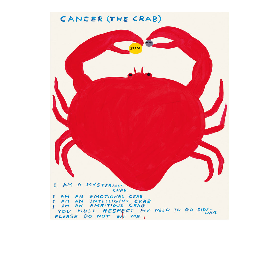 David Shrigley / Signs of the zodiac