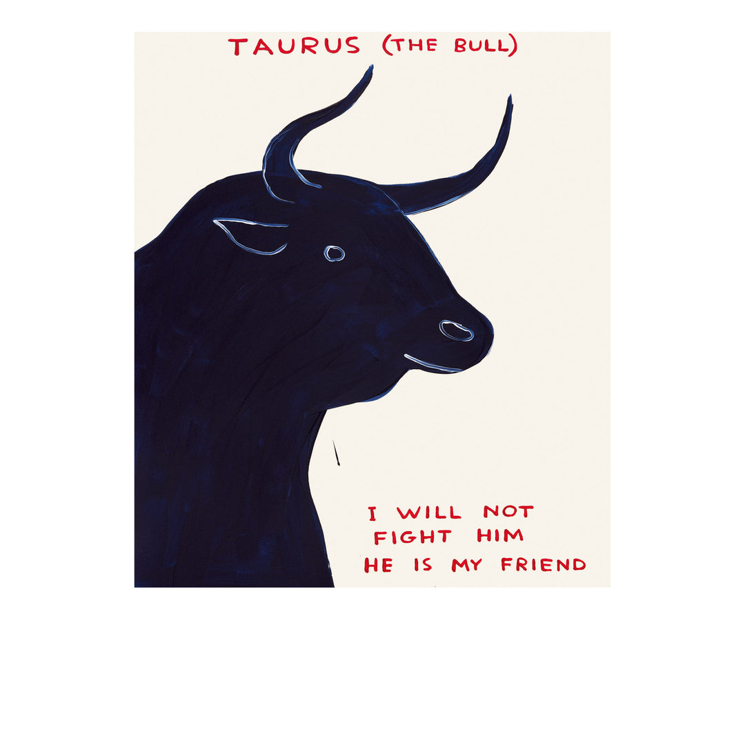 David Shrigley / Signs of the zodiac