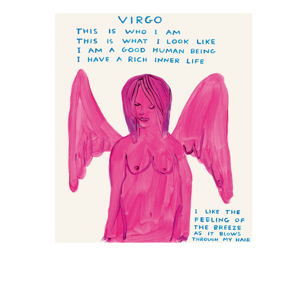 David Shrigley / Signs of the zodiac