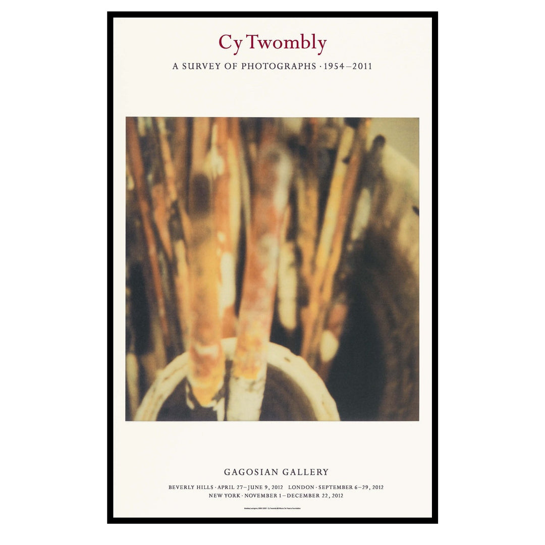 CY TWOMBLY / A SURVEY OF PHOTOGRAPHS, 1954–2011(Framed)