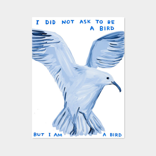David Shrigley / I did not ask to be a bird