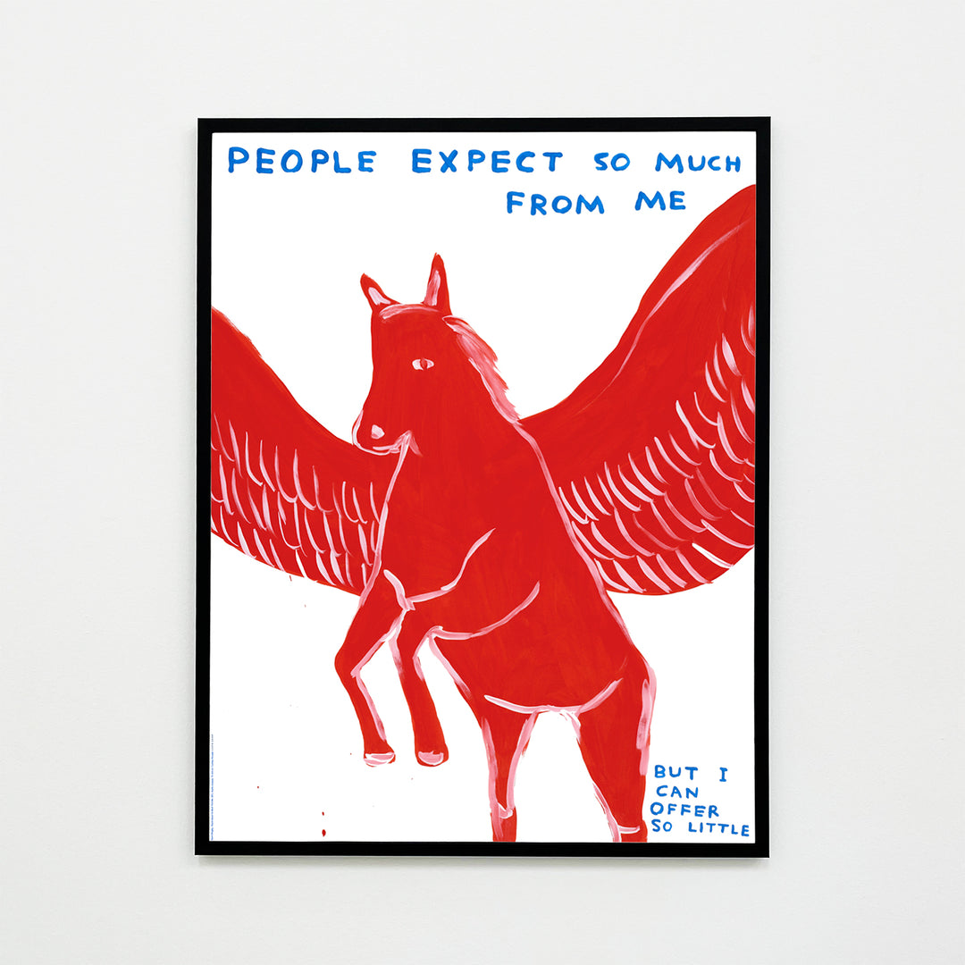 David Shrigley / People expect so much from me – Poster Shop Fubar
