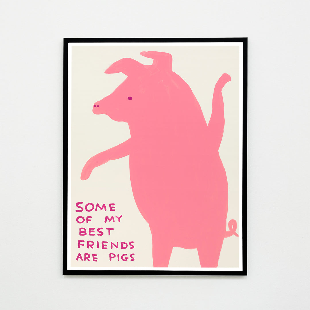 David Shrigley / Some of my best friends are pigs